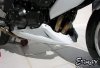 Pług owiewka spoiler silnika ERMAX BELLY PAN Kawasaki Z1000 2007 - 2009